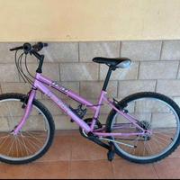 Bicicletta 24