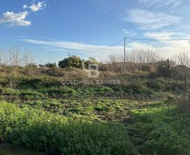 Terreno industriale/commerciale - Santa Venerina