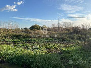 Terreno industriale/commerciale - Santa Venerina