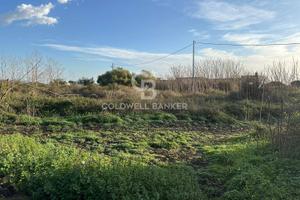 Terreno industriale/commerciale - Santa Venerina