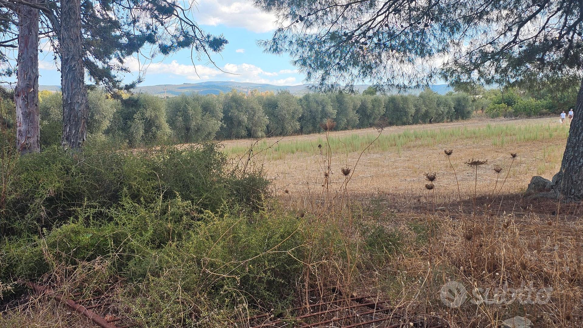 terreno agricolo Sant' Andrea Frius loc. cixedu - Vista 2