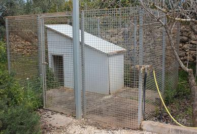 Box in ferro zincato per cani di grossa taglia