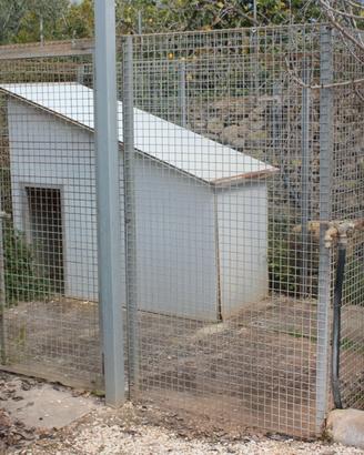 Box in ferro zincato per cani di grossa taglia