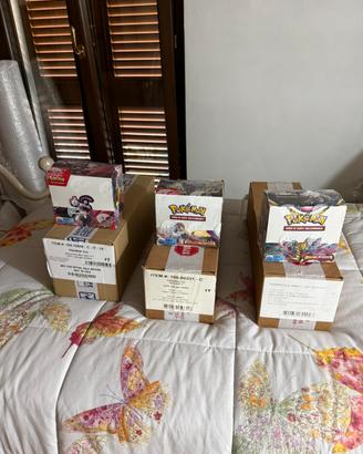 Box e case pokemon ita