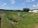 ter-agricolo-a-ponte-buggianese