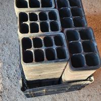 150 pz. contenitori 6/8buchi 15x11 germogliazione 