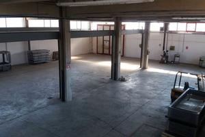 Capannone con ampia area fronte strada