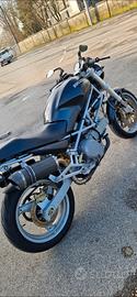 ducati monster 600