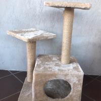 TIRAGRAFFI PER GATTI