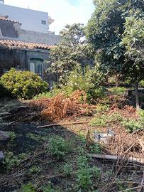 rustico  con terreno 