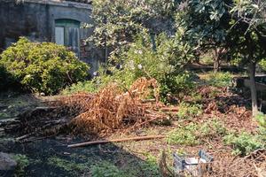 rustico  con terreno 