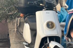 Niu 50c