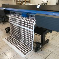 Plotter Roland Truevis VG-640 con Colori VG2