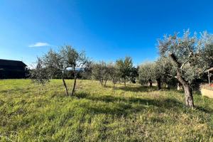 Gallicano nel lazio terreno agricolo