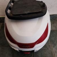 Bauletto scarabeo 50