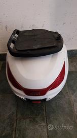 Bauletto scarabeo 50
