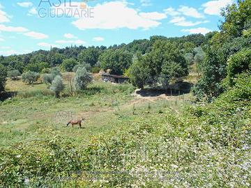 Terreno Agricolo Siena [A4352465]