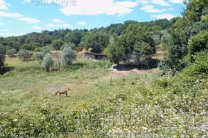Terreno Agricolo Siena [A4352465]