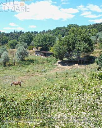 Terreno Agricolo Siena [A4352465]