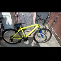 bici da uomo
