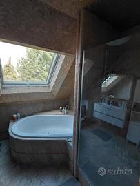 Grande stanza in WG a Vienna