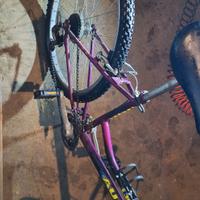 Bicicletta Aurora ragazza/donna 