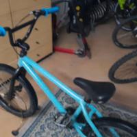 bmx Freestyle 