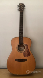 Chitarra Cort L100C NS - Dreadnought