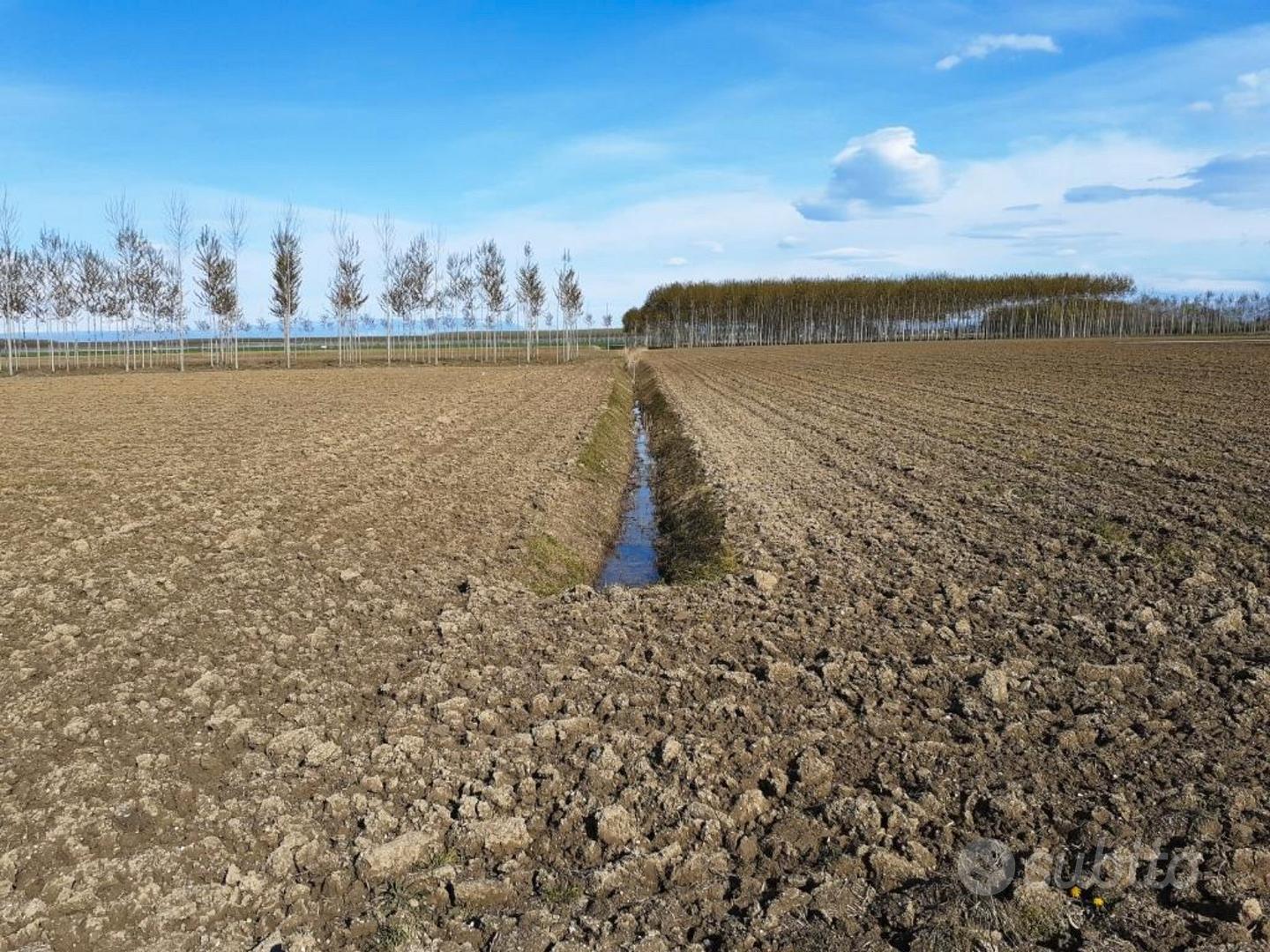 Terreno Agricolo Seminat 1,56 Ettari Porpetto(UD) - Vista 3