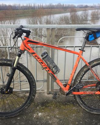 Mountain Bike GIANT XL Terrago 29