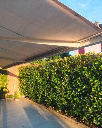 Tenda da sole motorizzata (7x4 m) con cassonetto.a