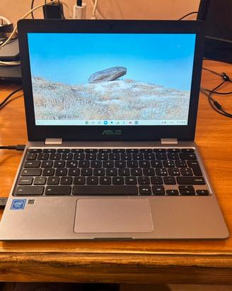 Asus chromebook c223Na