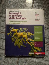 Libro Immagini e Concetti della Biologia
