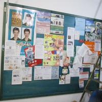 Bacchecca 3 x 2 metri