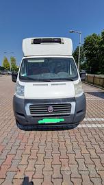 Fiat Ducato per trasporto isotermico