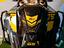 Immagine 13