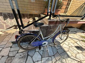 bicicletta stile Holland