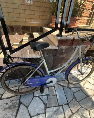 bicicletta stile Holland