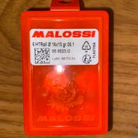 Rulli malossi variatore