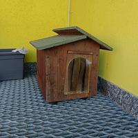 cuccia per cani piccola taglia