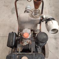 moto pompa motore Lombardini 