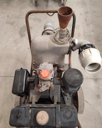 moto pompa motore Lombardini 