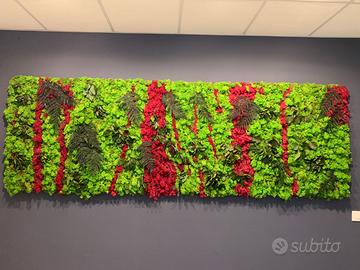 Quadro in muschio stabilizzato