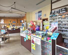 Tabaccheria Cartoleria Giochi a Rovigo - Grignano