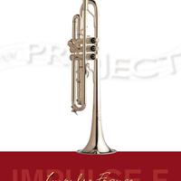 Tromba NM PROJECT «Impulse F» (1)