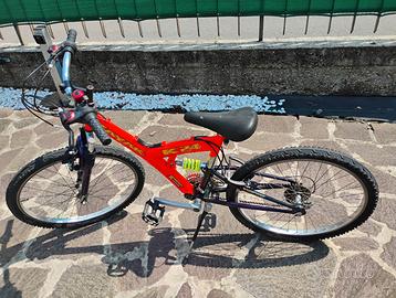 Bicicletta ragazzo/a