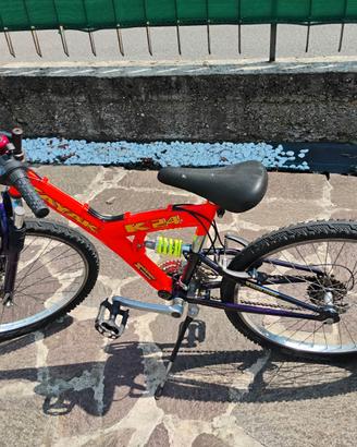 Bicicletta ragazzo/a