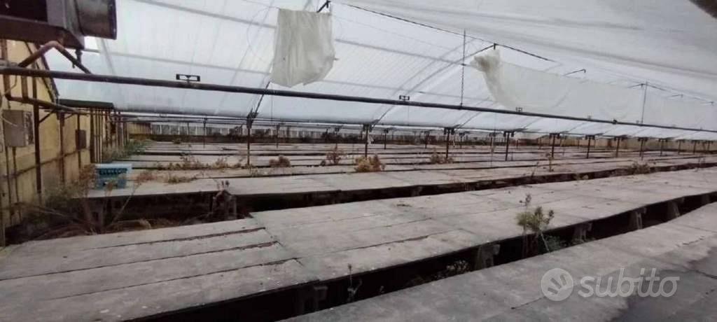 Immobile in asta di 19930 m² a Montevarchi - Vista 2