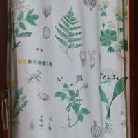 tendine in cotone per portafinestra