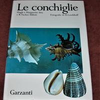 Le conchiglie - H. e M. Stix - 1973